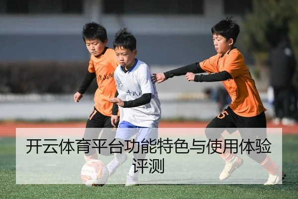 开云体育平台功能特色与使用体验评测