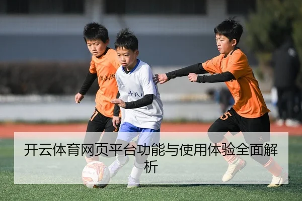 开云体育网页平台功能与使用体验全面解析
